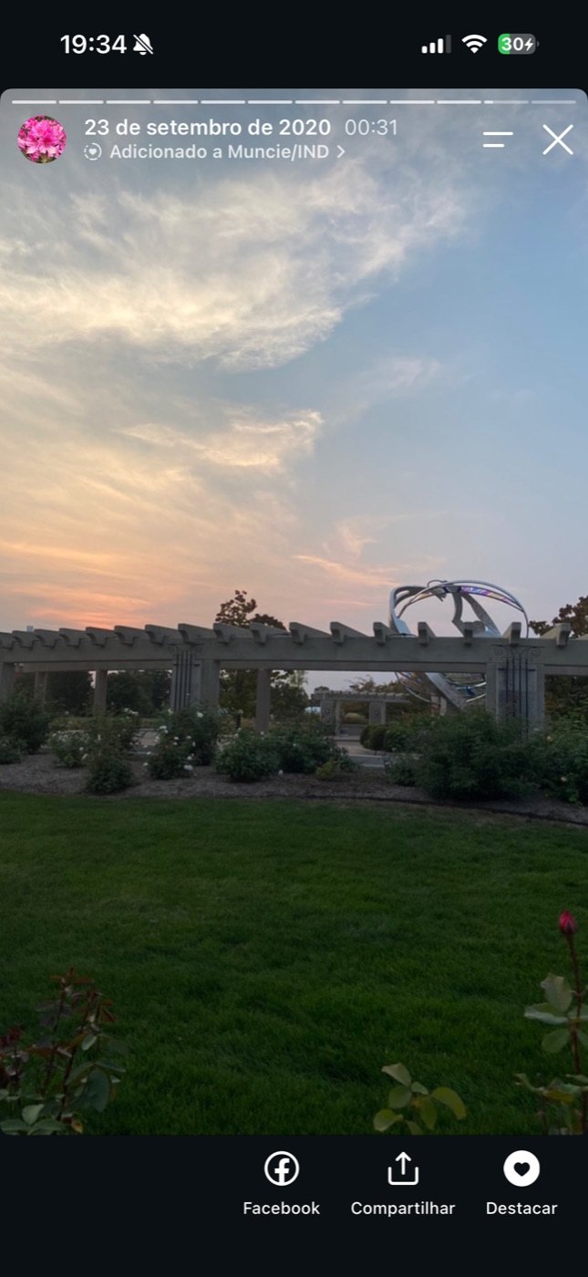 Rose garden at sunset
